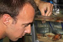 Jeffrey Milisen milking cone snail venom